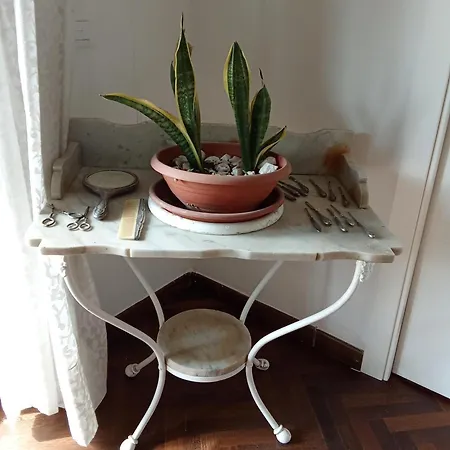 Casa Del Cinema E Dei Libri Appartement Palermo